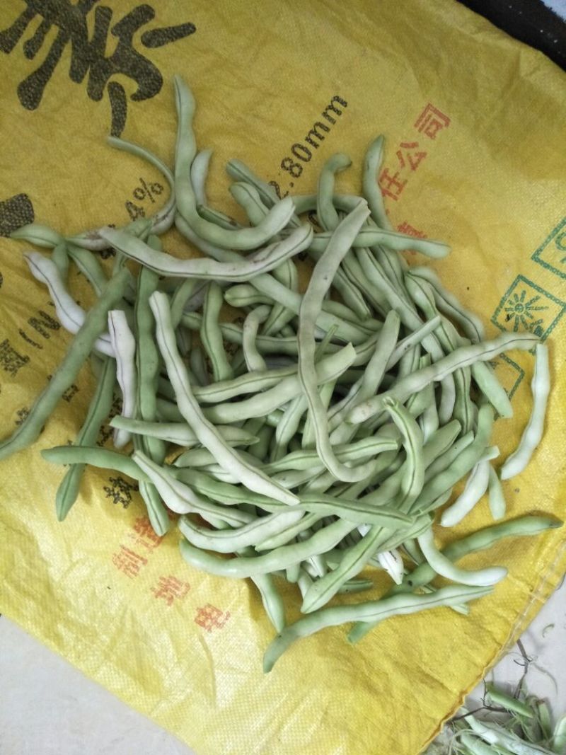 干豆角