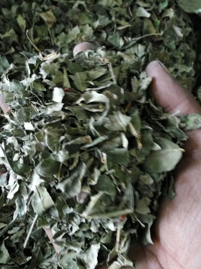 【花椒叶】产地直销保质保量可视频看货欢迎选购