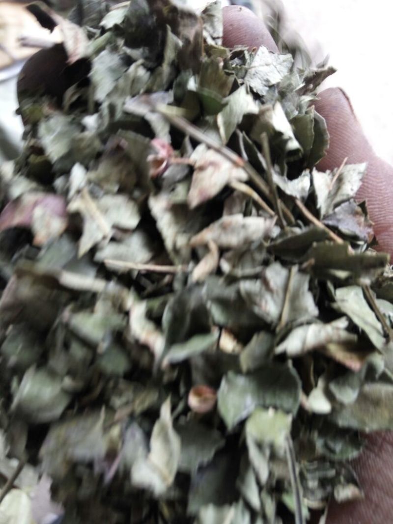 【花椒叶】产地直销保质保量可视频看货欢迎选购