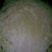 邯郸甘蓝货源充足，质量好。可散装，袋装，冷库打冷。