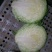 邯郸甘蓝货源充足，质量好。可散装，袋装，冷库打冷。