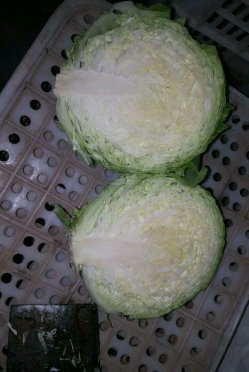 邯郸甘蓝货源充足，质量好。可散装，袋装，冷库打冷。