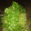 志杰种植合作社的一亩田店铺