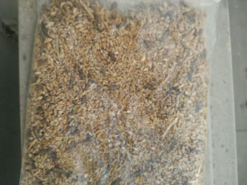 麦糠