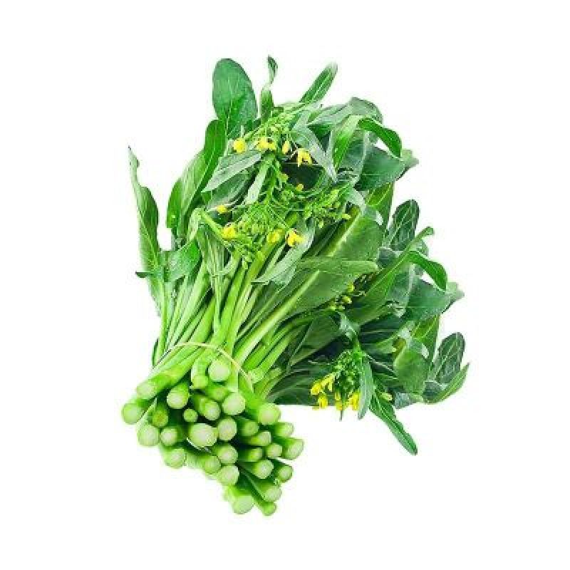 菜苔15~20厘米