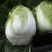 大白菜4~6斤毛菜