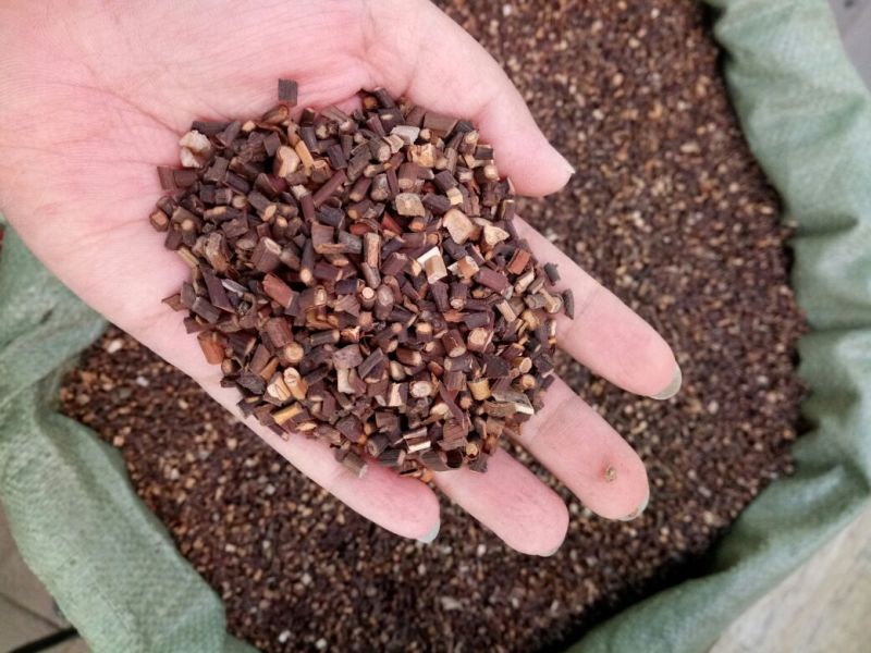 桂枝广西干货人工种植量大从优各种规格