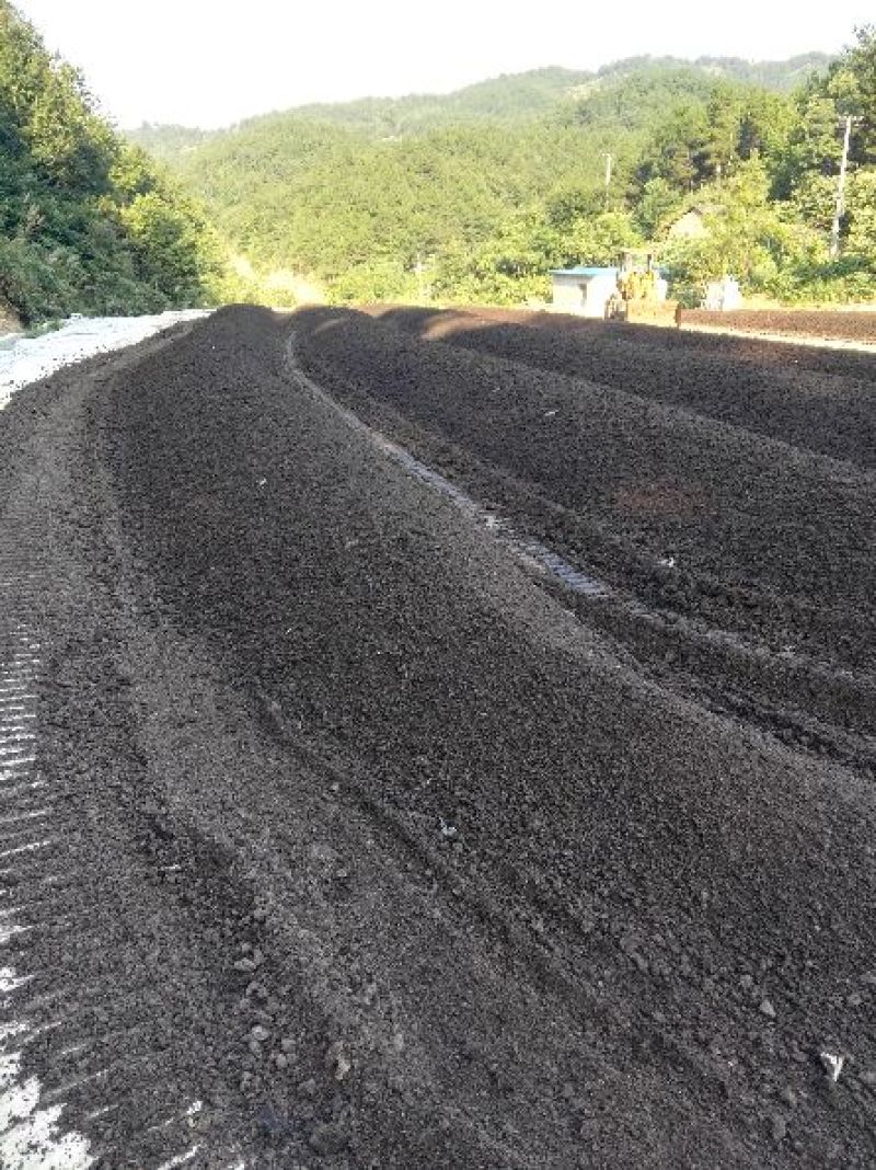 发酵鸡粪湖北黄冈厂家直销