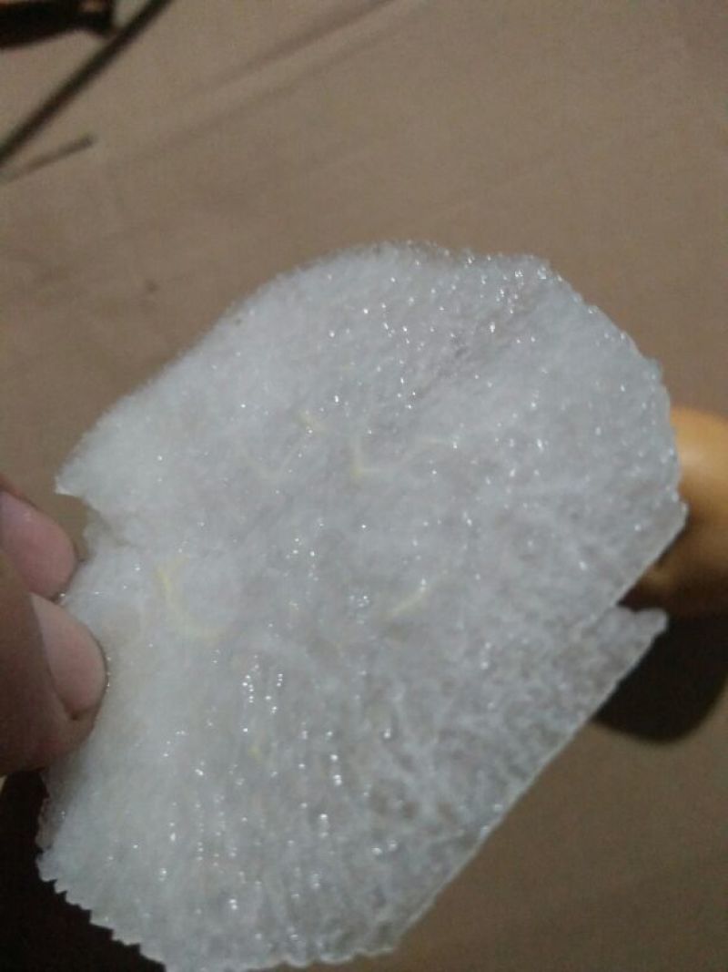 平度秋月梨已上市