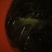 黄鳝食用活鱼