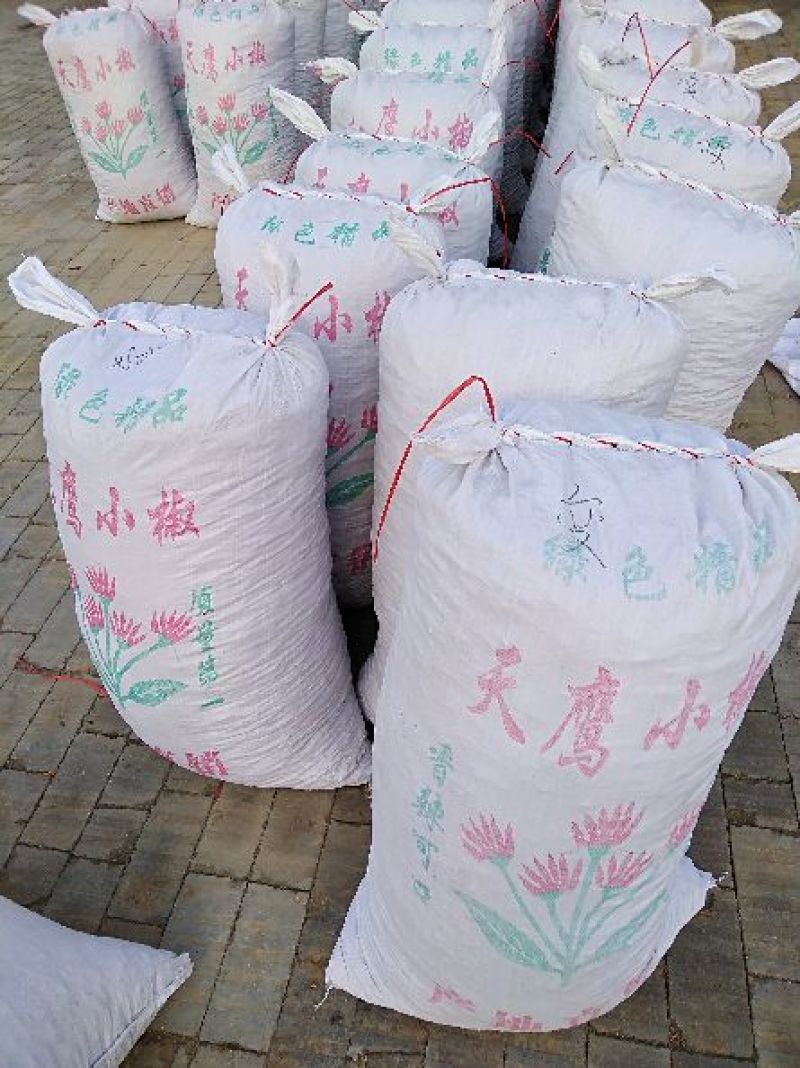 三樱椒八号精品9成干以上，三撄椒，子弹头，红太阳