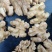 薄皮核桃30mm以上去皮干