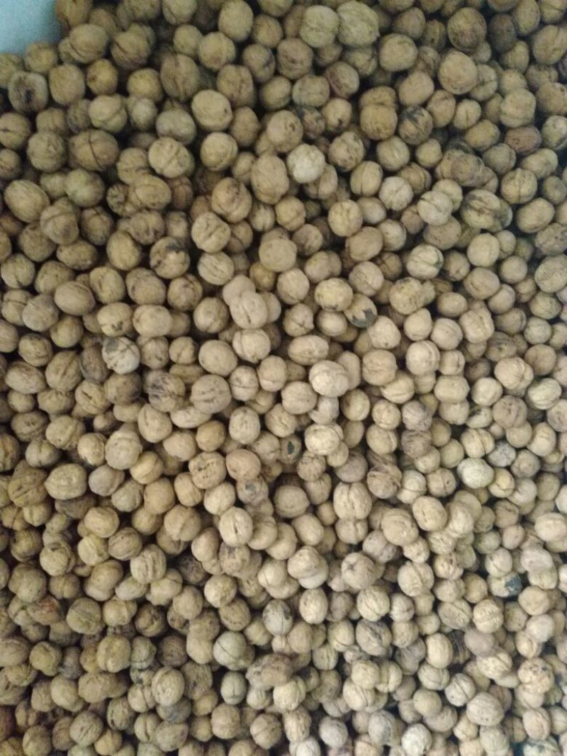 薄皮核桃30mm以上去皮干