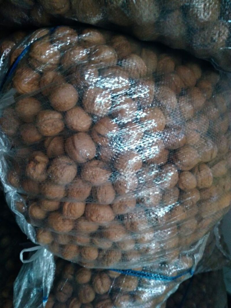 薄皮核桃30mm以上去皮干