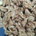 薄皮核桃30mm以上去皮干