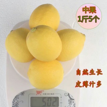 柠檬2.7~3.2两