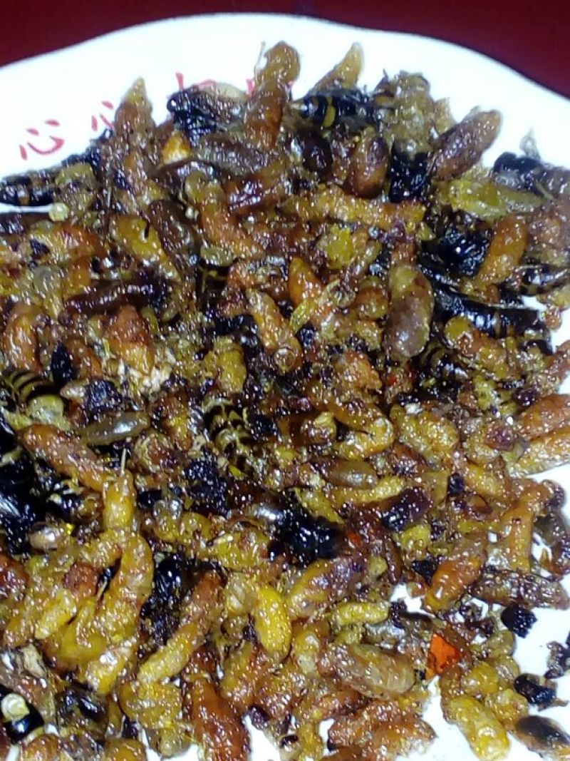 土蜂蜂蛹野生