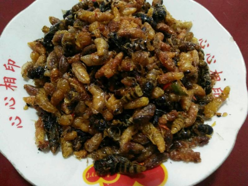 土蜂蜂蛹野生