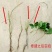 五叶爬山虎5cm以上1~1.5米