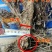 五叶爬山虎5cm以上1~1.5米