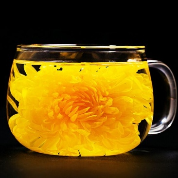 菊花茶金丝皇菊
