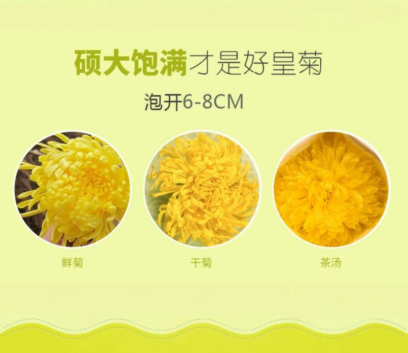 菊花茶金丝皇菊