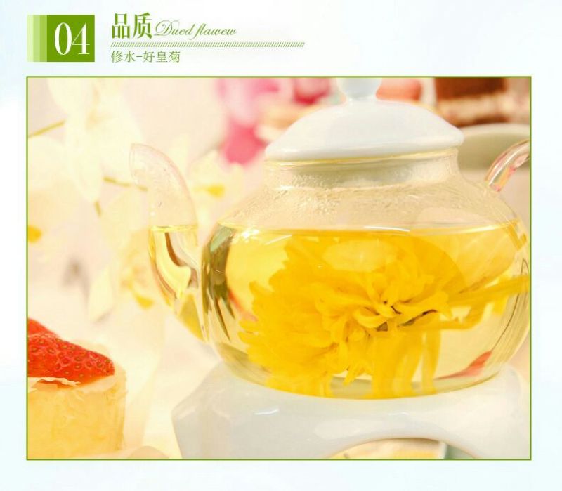 菊花茶金丝皇菊