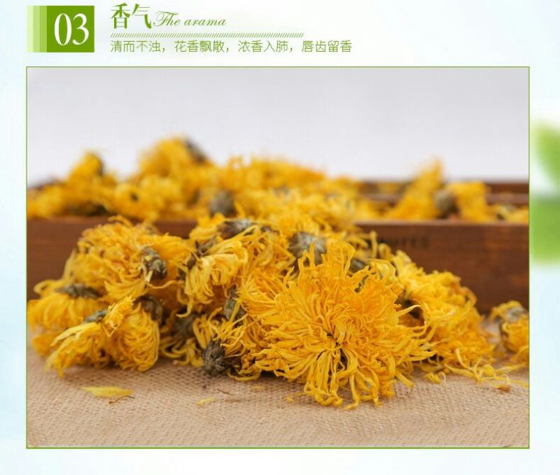 菊花茶金丝皇菊