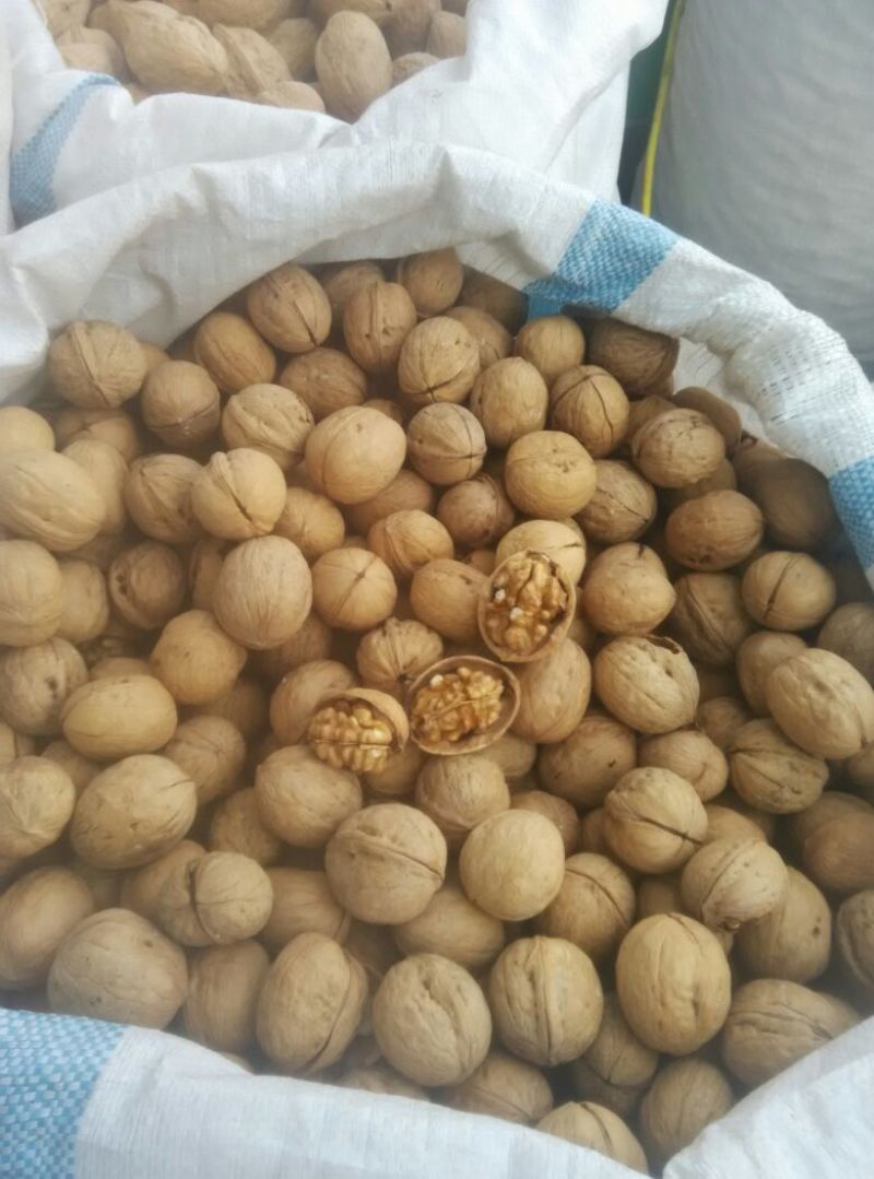 薄皮核桃30mm以上去皮干