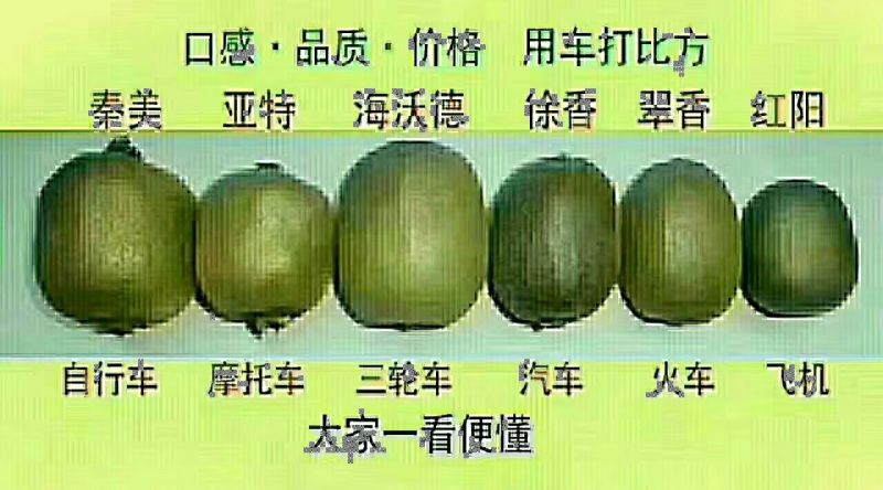 陕西翠香猕猴桃徐香猕猴桃产地批发代理社区团购欢迎致电