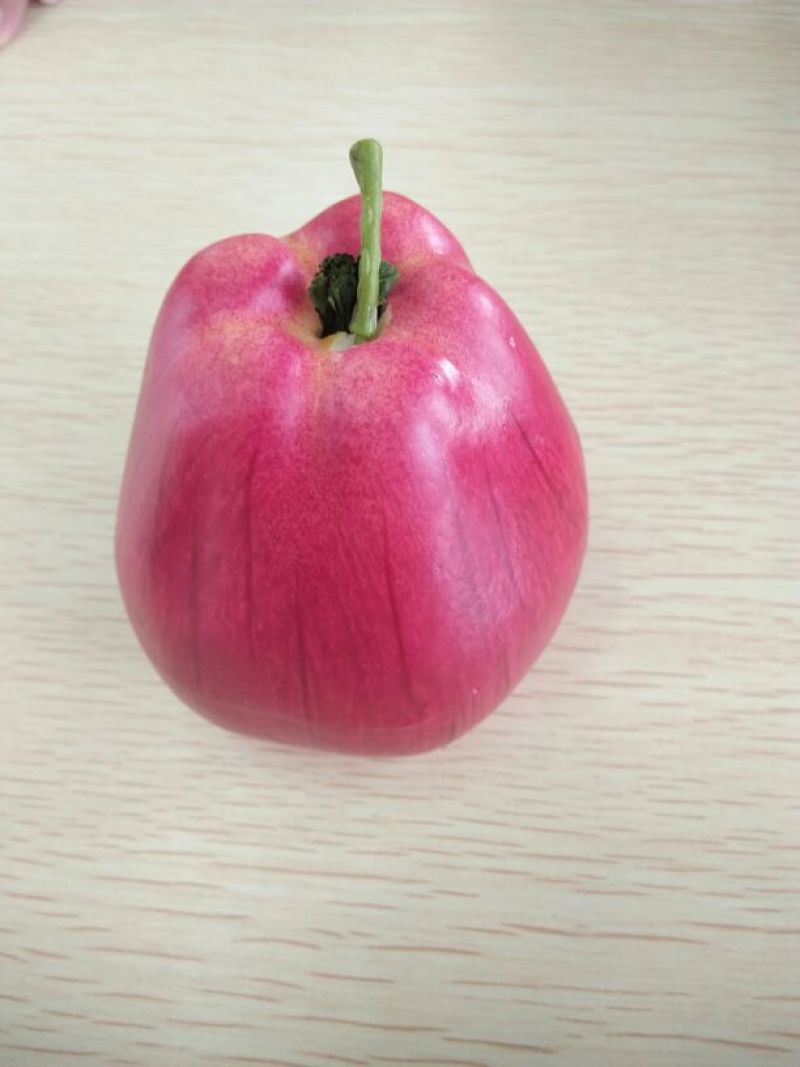 莲雾种苗大叶红莲雾