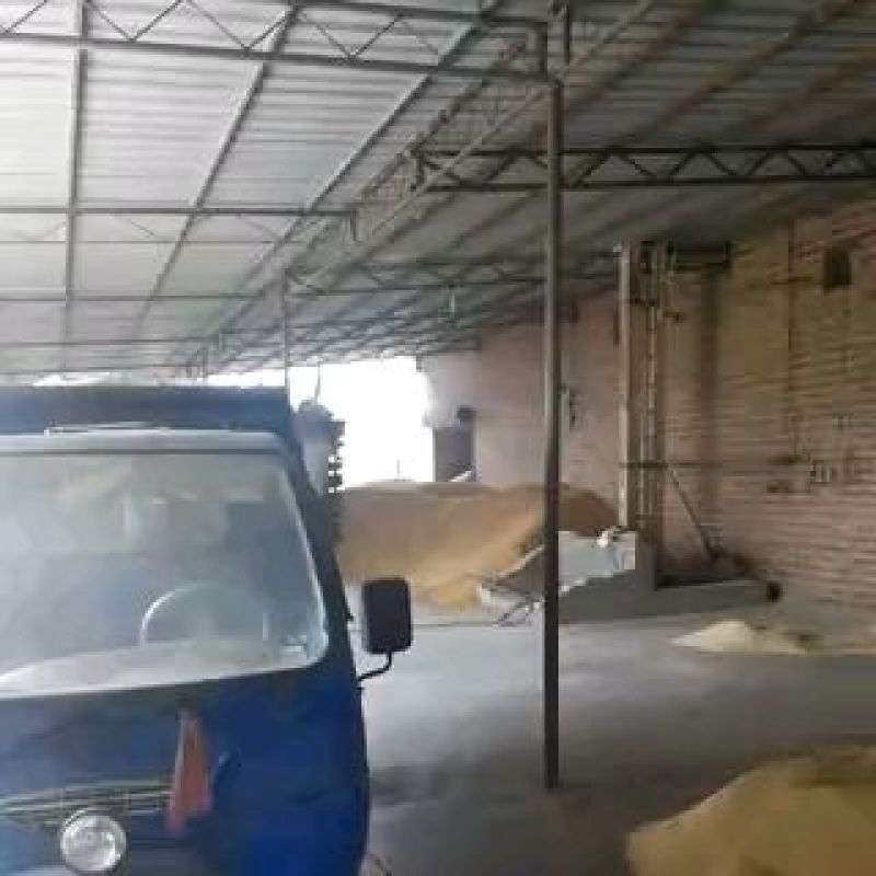麸皮饲料