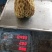 释迦苗70~90cm