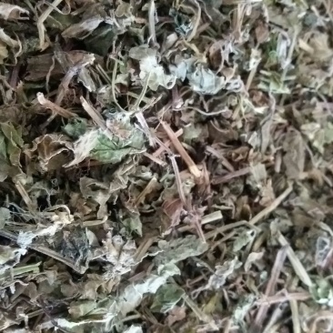 连钱草，大别山药材，纯手工货
