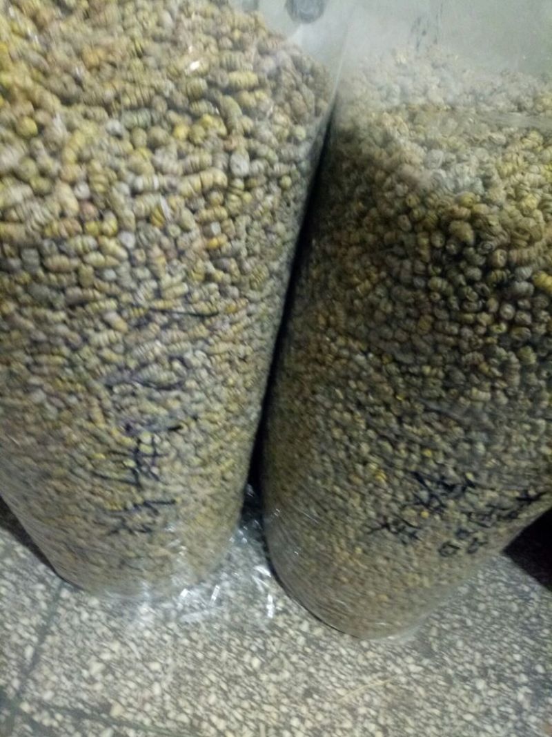 铁皮石斛胶质好散装1斤起包邮量大从优