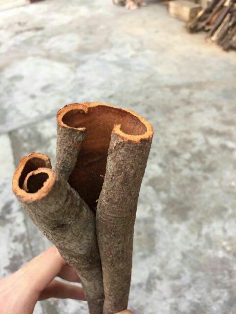 桂皮包装中通