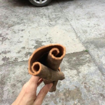 桂皮包装中通