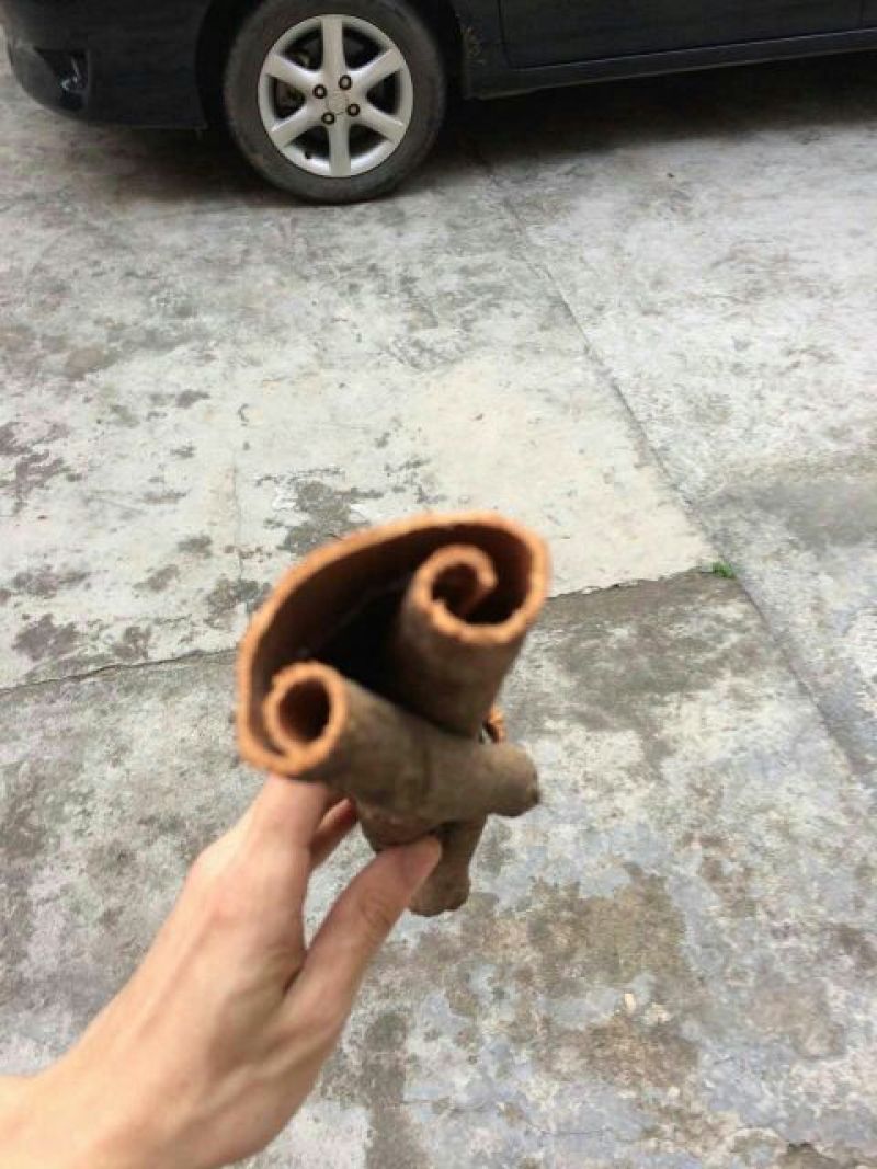 桂皮包装中通