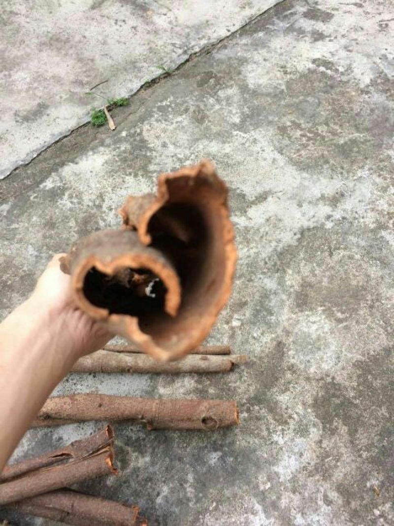 桂皮包装中通