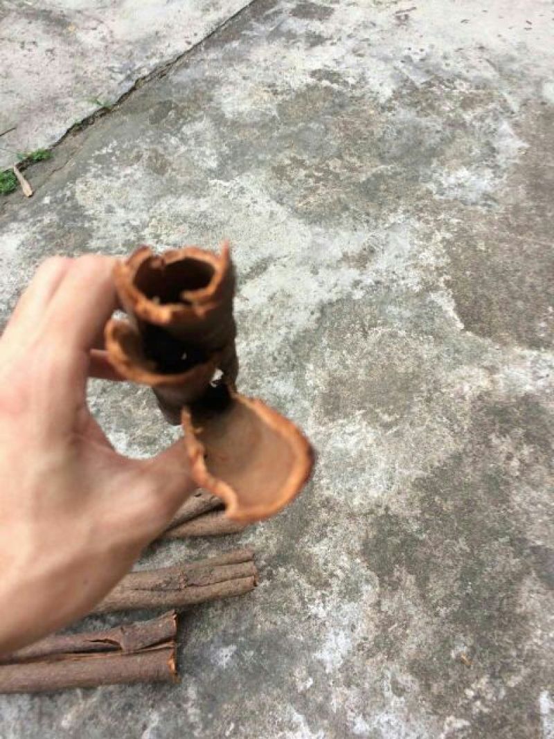 桂皮包装中通