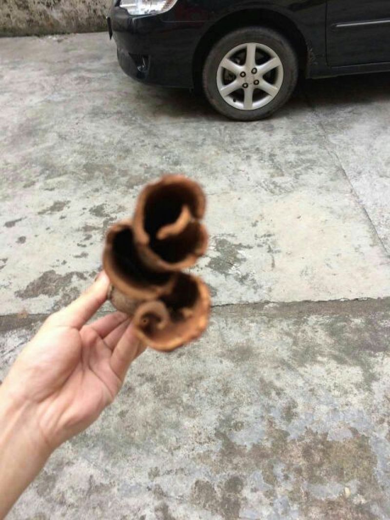 桂皮包装中通
