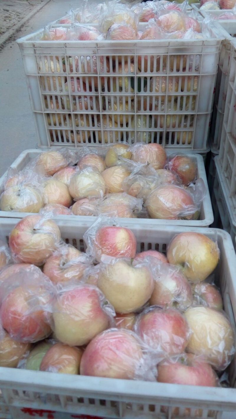 贡梨纸袋300~350g