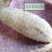 放牛果150g以上种植