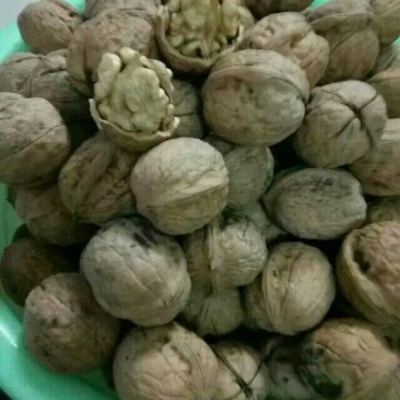 薄皮核桃去皮30mm以上干