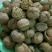 薄皮核桃去皮30mm以上干