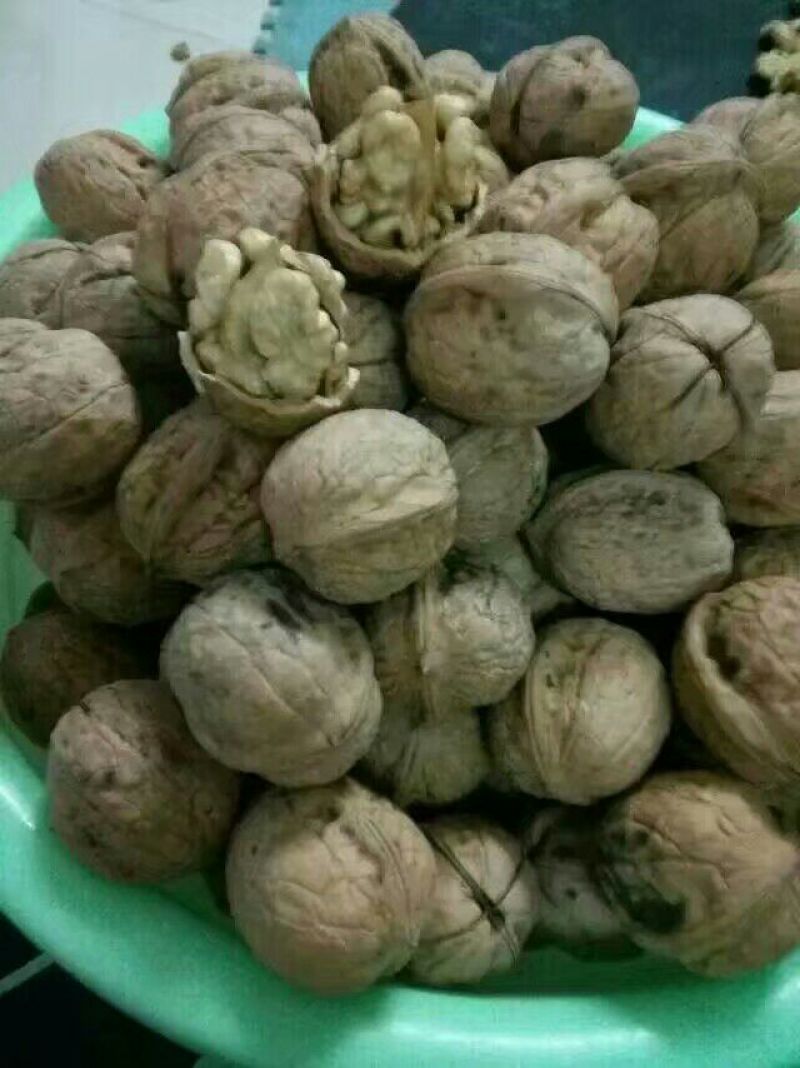 薄皮核桃去皮30mm以上干