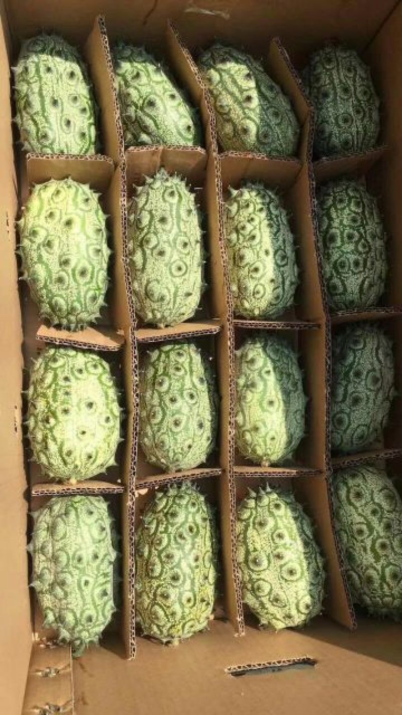 火星果刺角瓜0.5斤以上