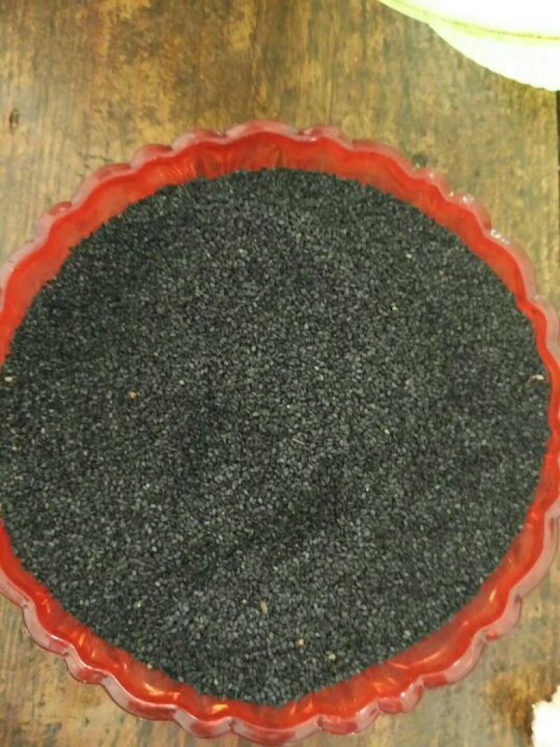 黑芝麻1级