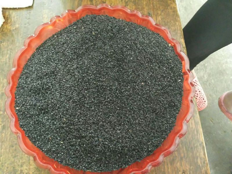 黑芝麻1级