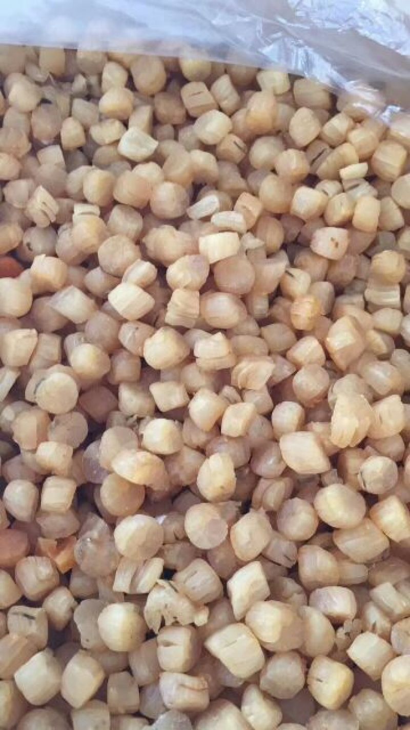 干贝食用鲜活0.1~0.9只/kg